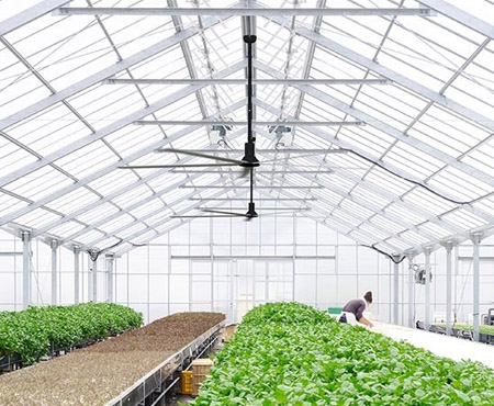 了解HVLS风机的应用